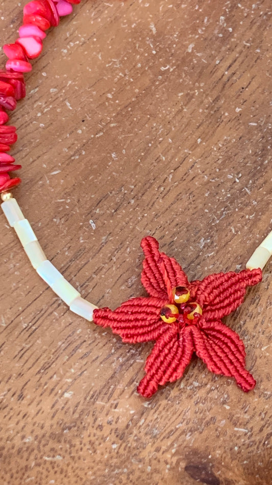 Flor de Coral