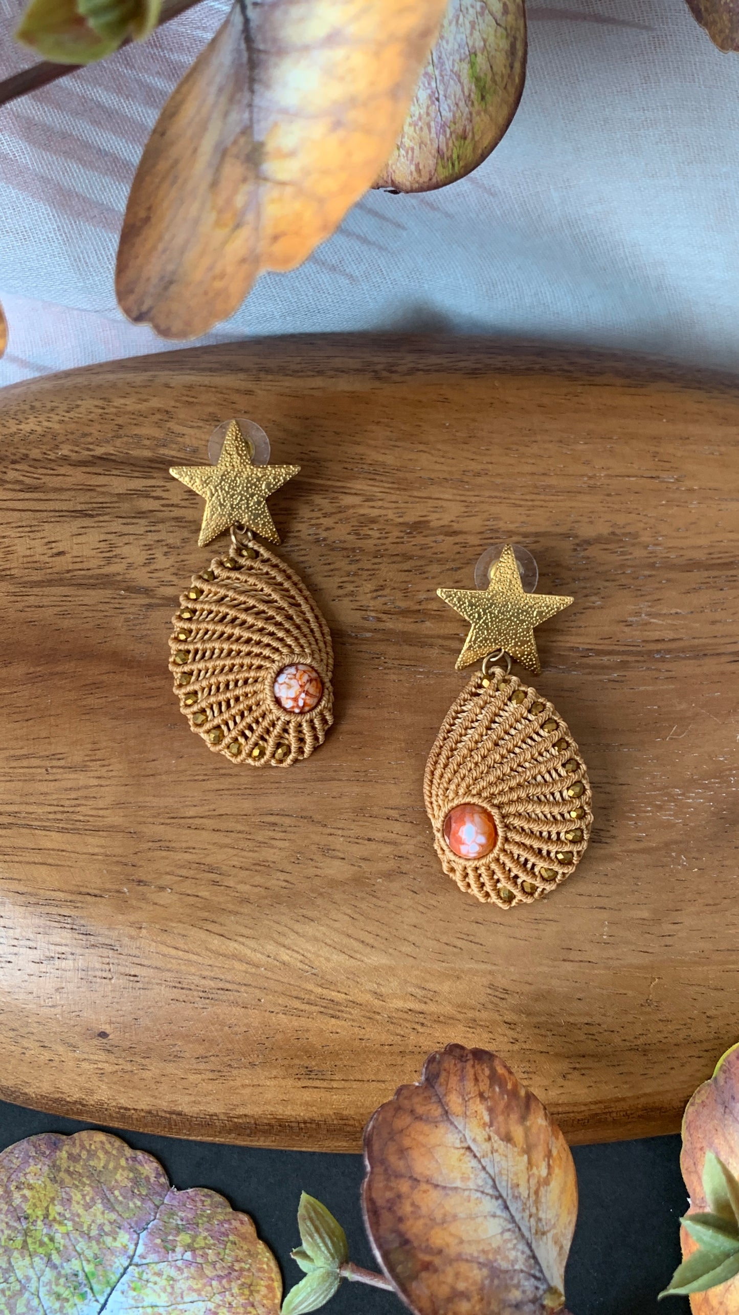 Sea Shell